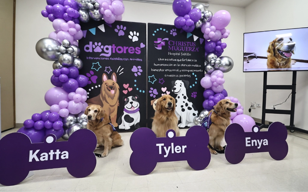 Tres perros sentados frente a tres placas con los nombres Katta, Tyler y Enya