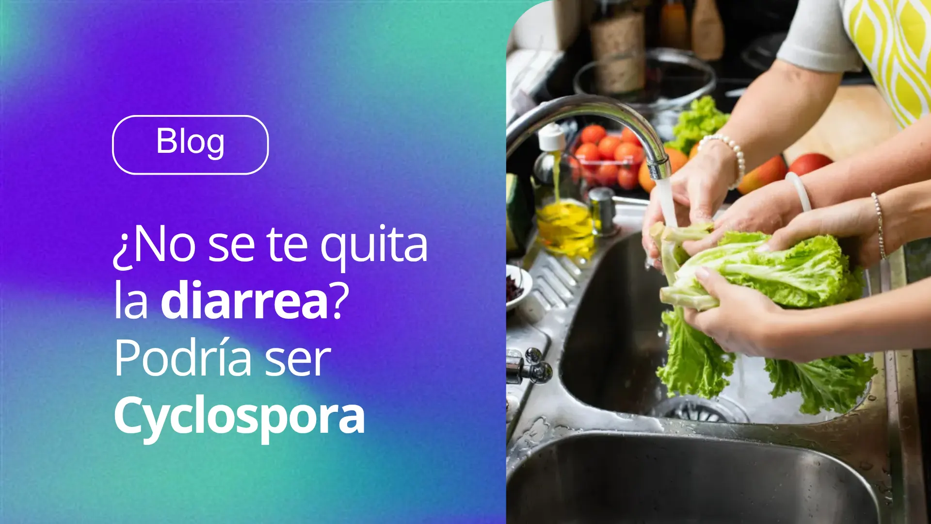 Todo lo que debes saber sobre cyclospora